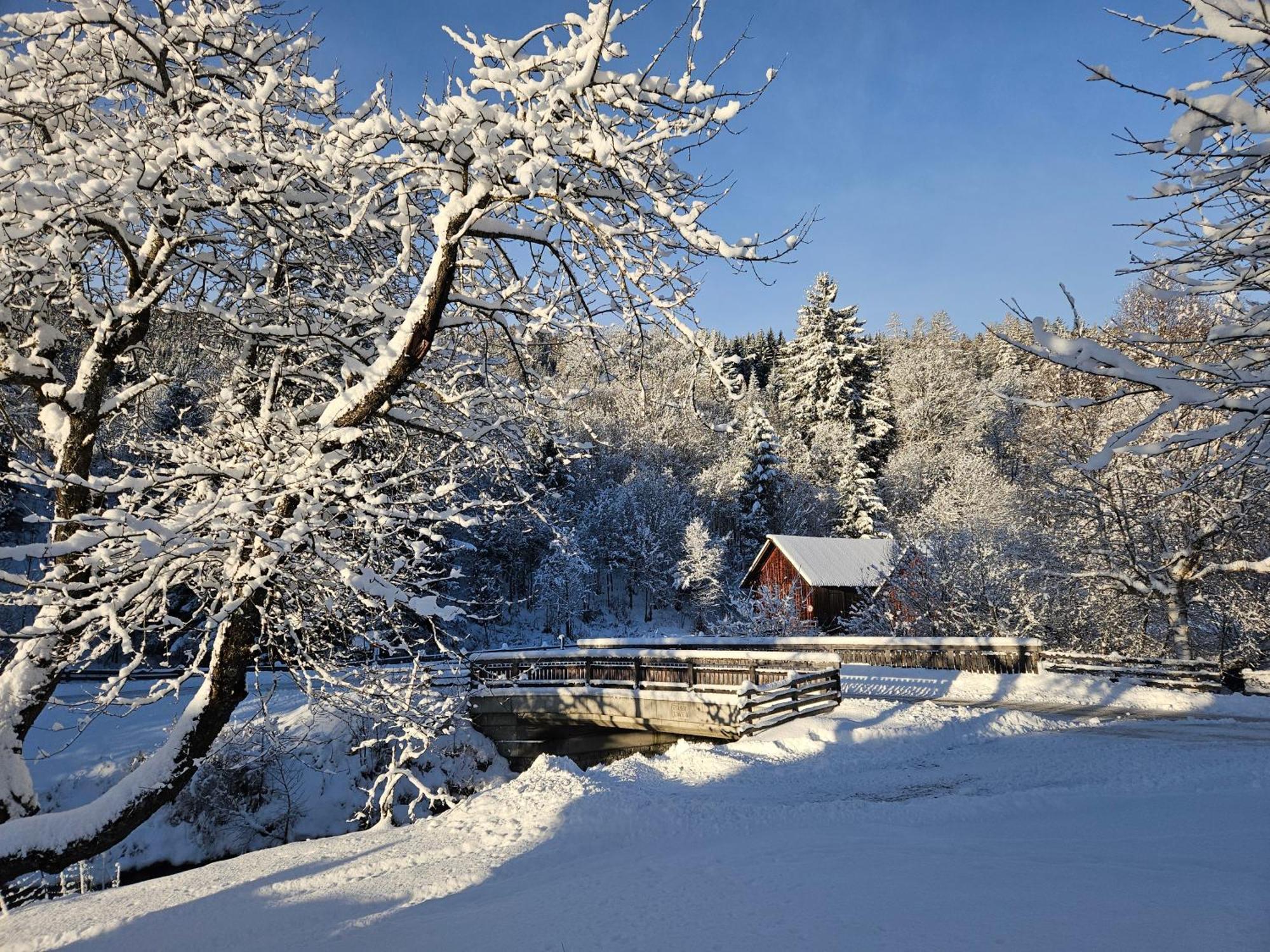 Landhotel Lacknerhof Mariapfarr Extérieur photo